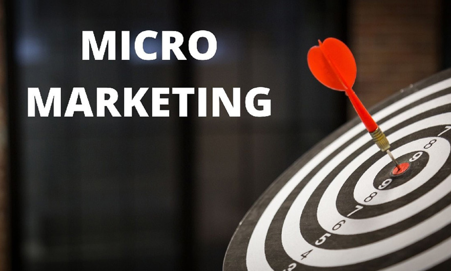 What is Micromarketing or Micro Marketing?