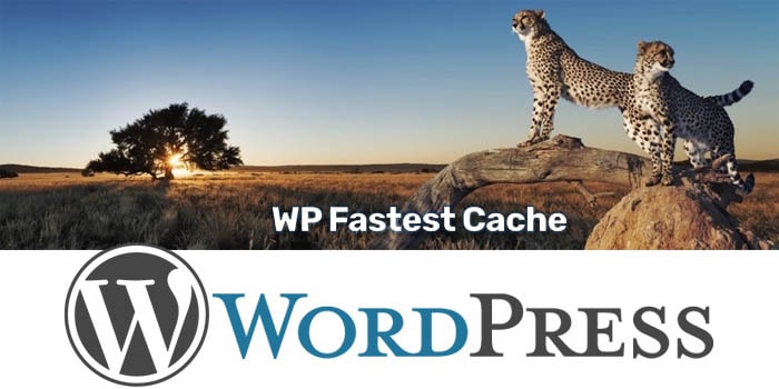 What are the best WordPress cache plugin?