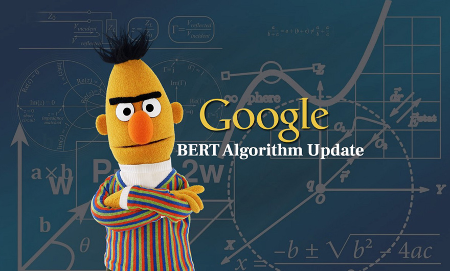 What is the Google BERT algorithm?
