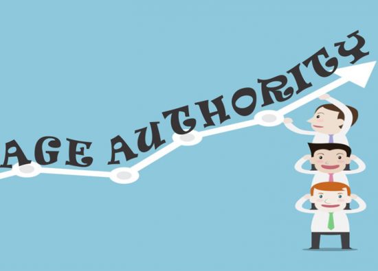 What is Google Page Authority algorithm?