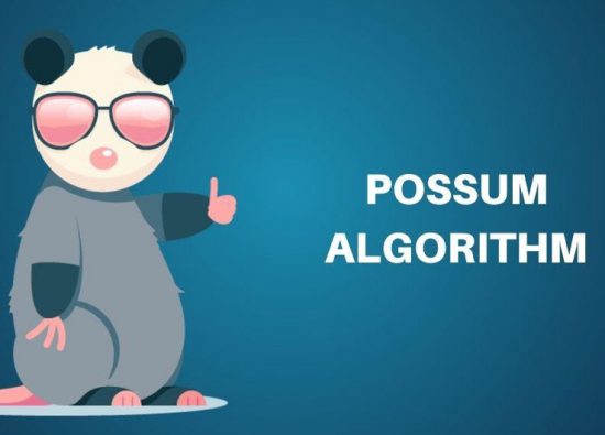 What is Google Possum Algorithm?